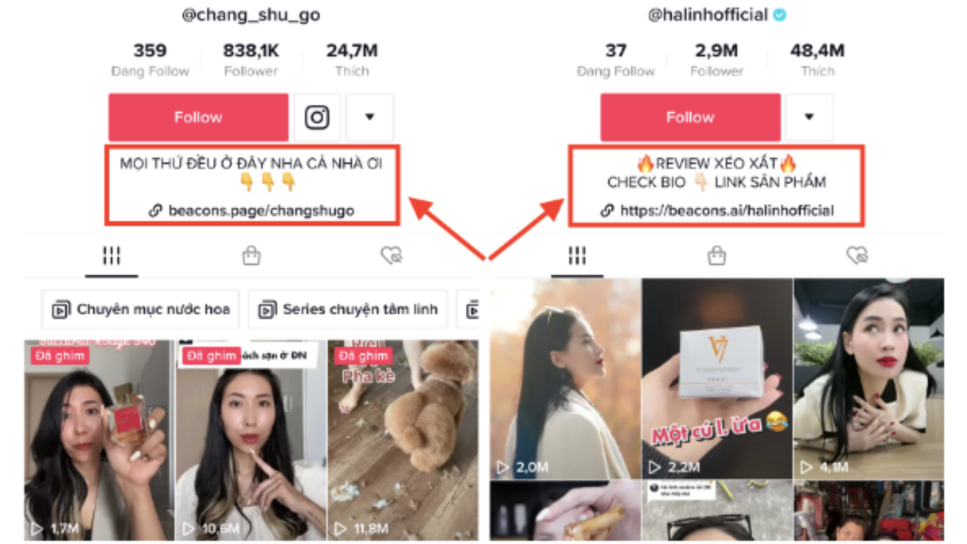Hướng dẫn cách gắn link bio trên Tiktok đơn giản ai cũng có thể làm được